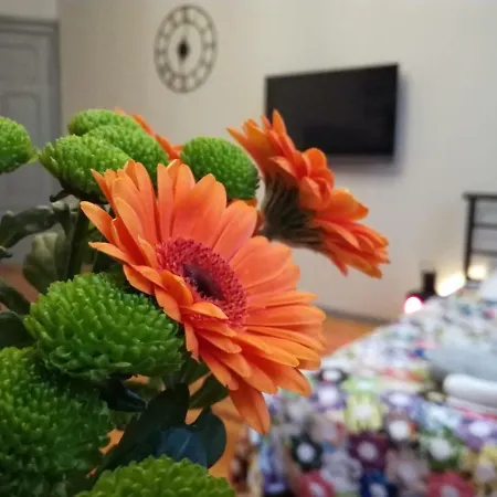 Daire Stylowa Kamienica W Centrum *