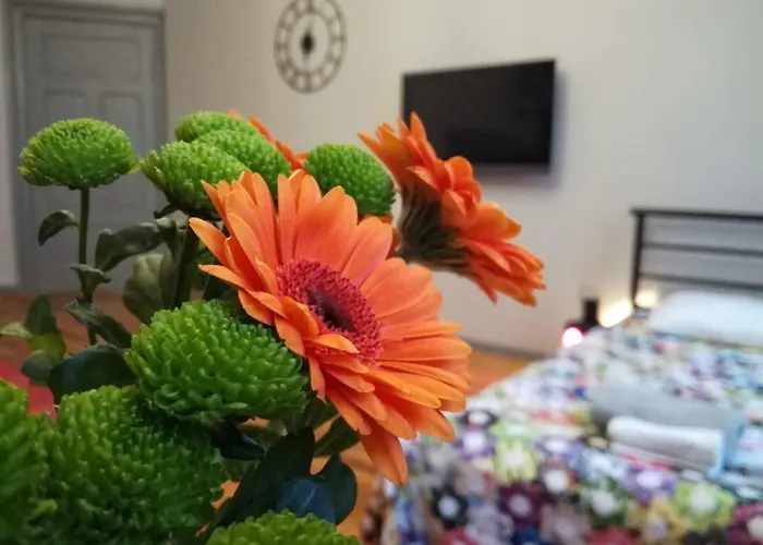 Daire Stylowa Kamienica W Centrum *